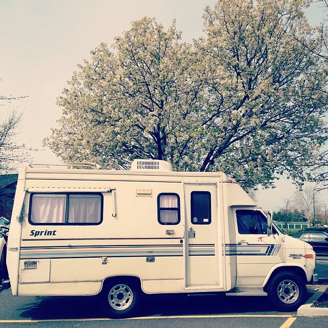 Lillie the camper