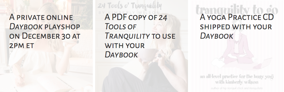Daybook 6.0 Goodies